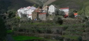 Read more about the article CMC cria condições para Pereiro, Casal Santa Teresinha, Cambões e Vale Cerdeira serem “Aldeias Seguras”