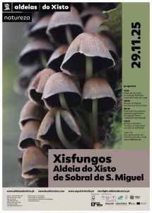 Read more about the article Xisfungos Aldeia do Xisto